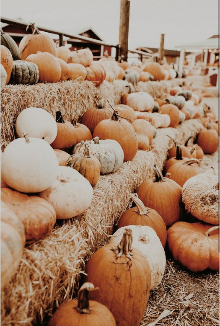 Fall Wax Melts