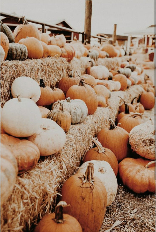 Fall Wax Melts